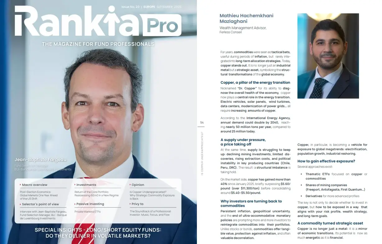 Interview de Ferless Conseil dans Rankia Pro